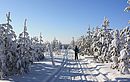 Finnland - Skiwanderung durch die Taiga für geübte Skilangläufer