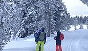Norwegen - Schneeschuhwandern in winterlicher Weite