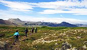 Island - Naturrundreise mit Wandern