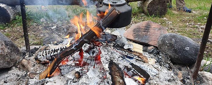Zu Fuß, per Kajak und per Rad auf Estlands verborgenen Inseln