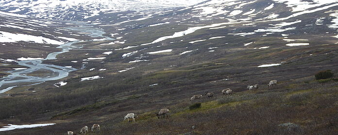 Expeditionstrekking in schwedisch Lappland