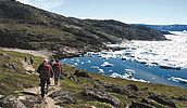 Westgrönland - Wandern zur Wiege der Eisberge