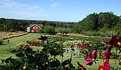 Schweden - gemütliches Radfahren in Smaland