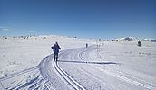 Norwegen - Winterferien in Beitostölen