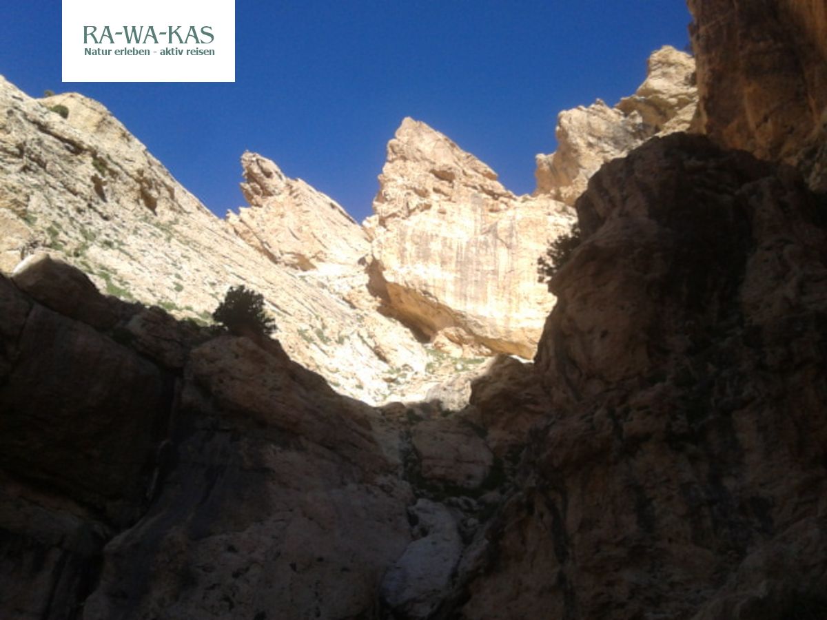 Iran Orientalisches Leben Wustenlandschaft Und Kulturgenuss Rawakas