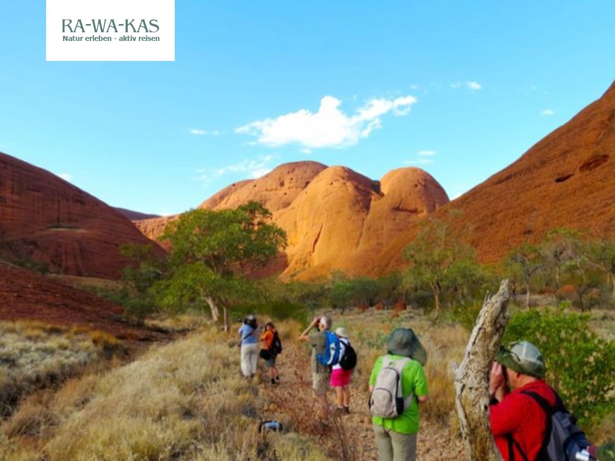 Australien - Great Barrier, Rotes Zentrum, Queensland ...