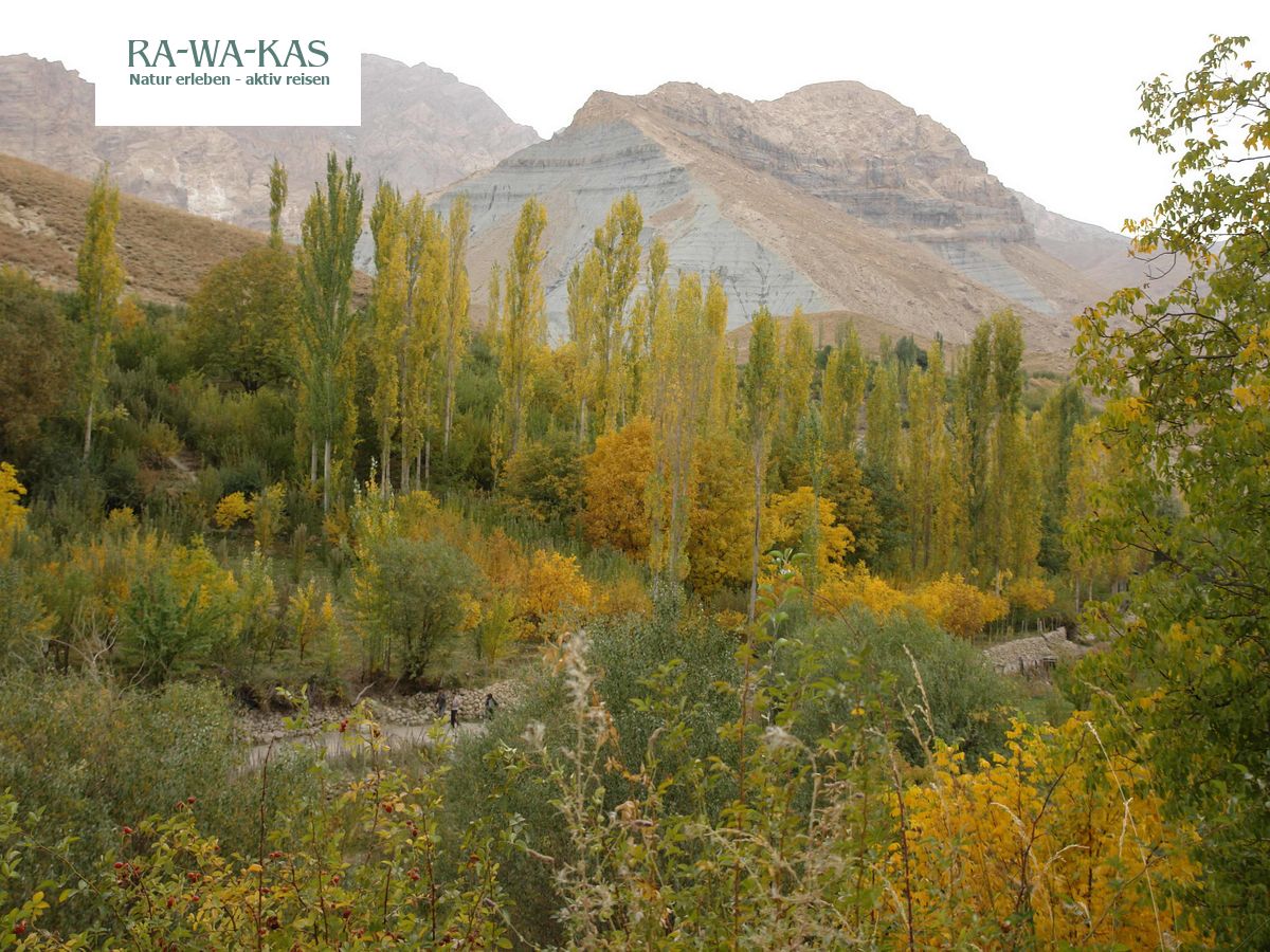 Iran Orientalisches Leben Wustenlandschaft Und Kulturgenuss Rawakas