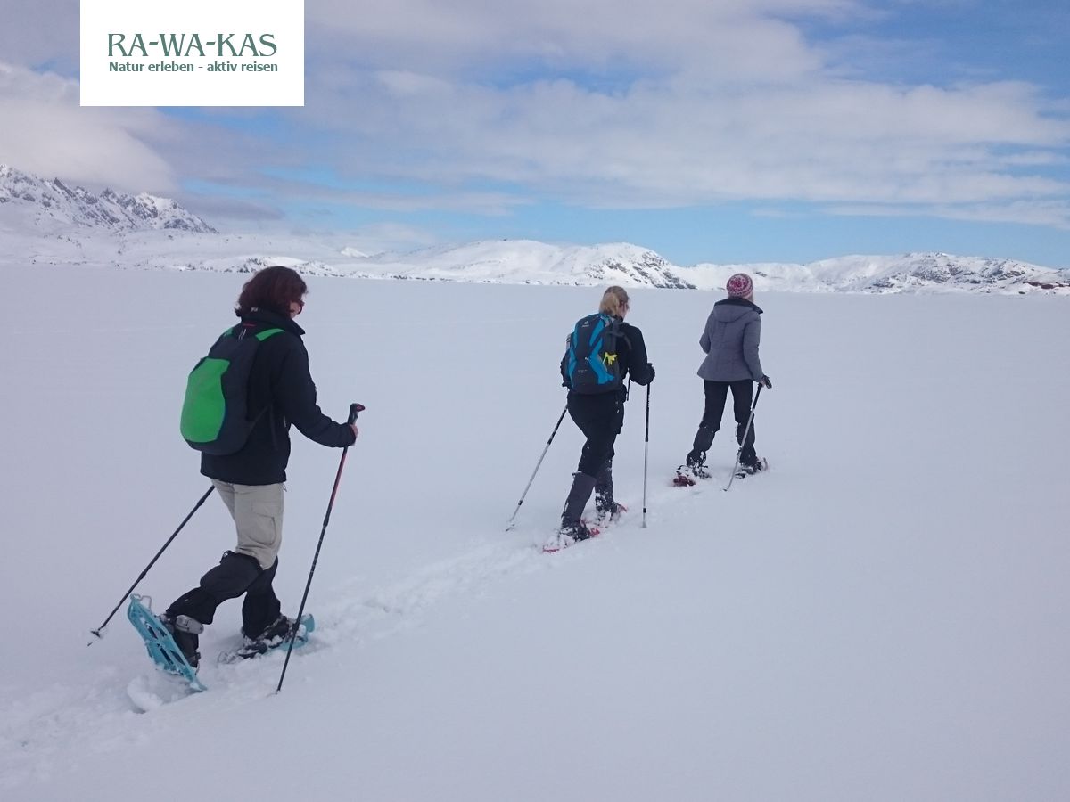 Gronland Schneeschuhwandern In Der Arktis Rawakas