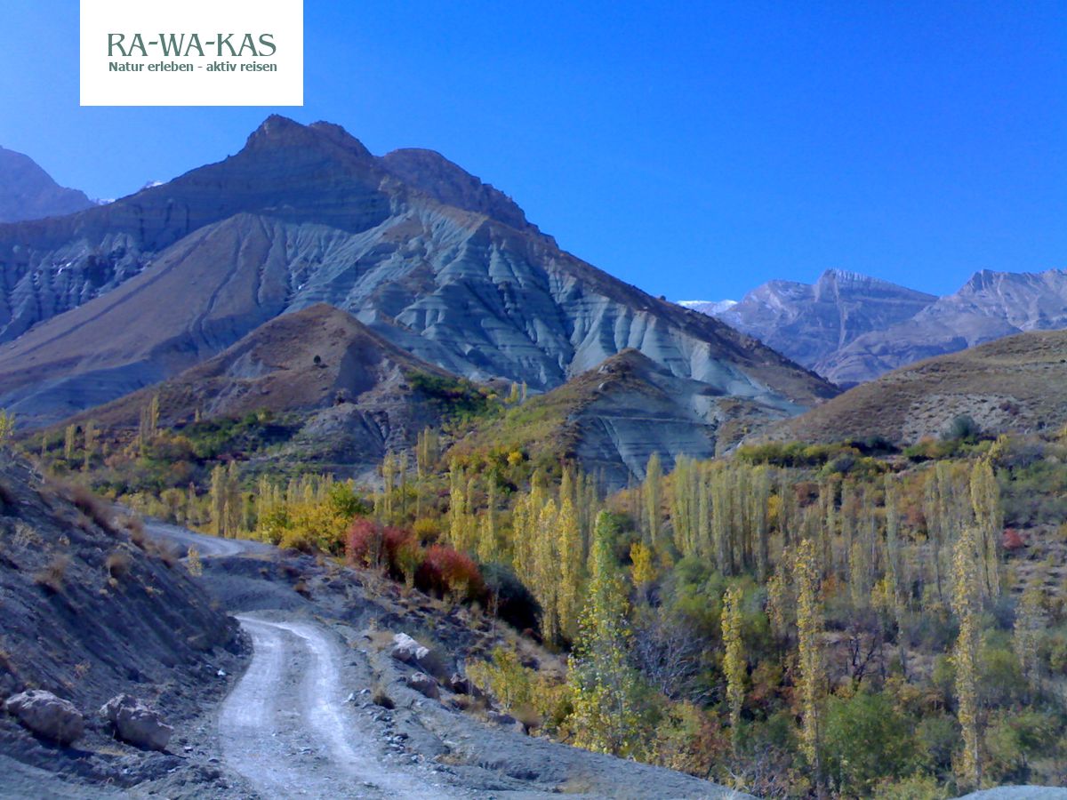 Iran Orientalisches Leben Wustenlandschaft Und Kulturgenuss Rawakas